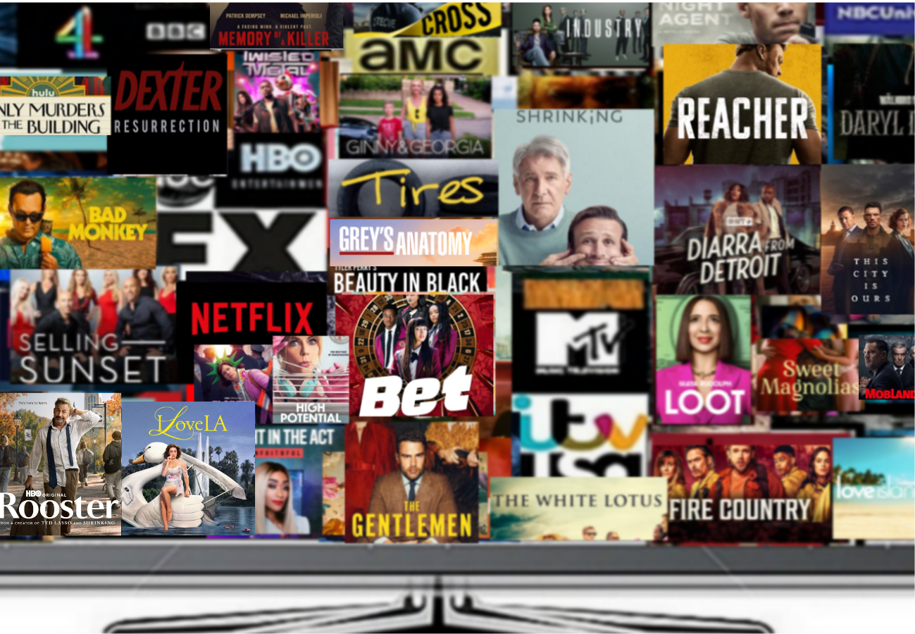 TV Shows & Networks